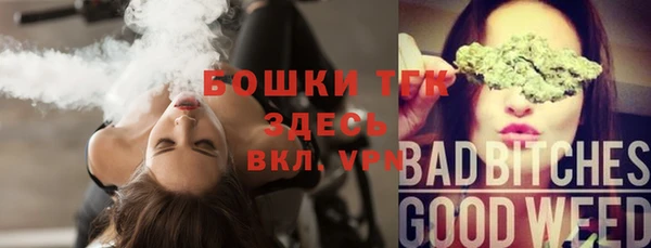 гашик Алексеевка