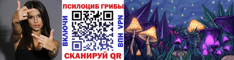Галлюциногенные грибы мухоморы  как найти наркотики  Баймак 